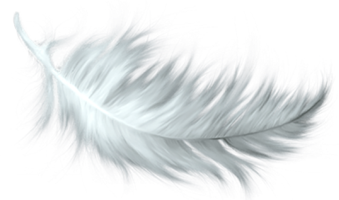 Feather